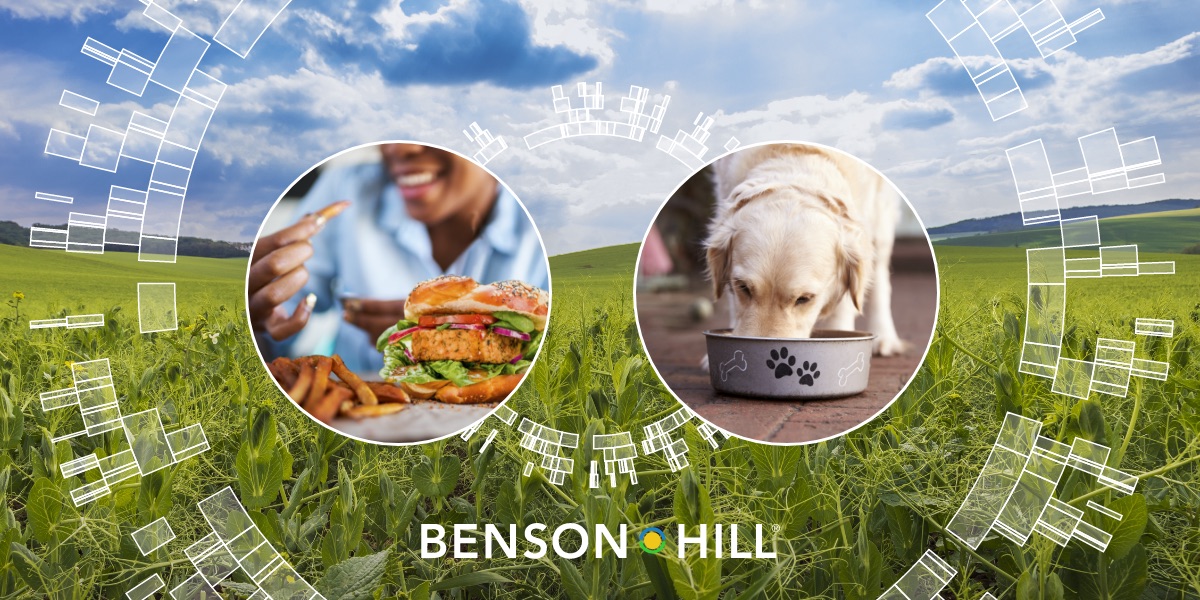 Benson Hill Advances Its Yellow Pea Innovation Efforts with the